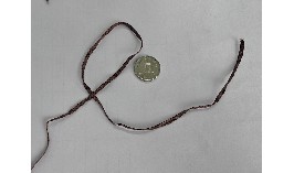 錦綸色絲
